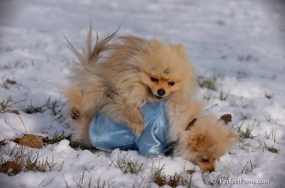 Dec4_07_631.JPG