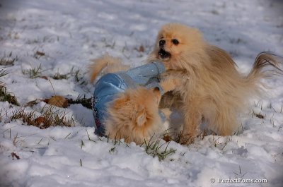 Dec4_07_633.JPG