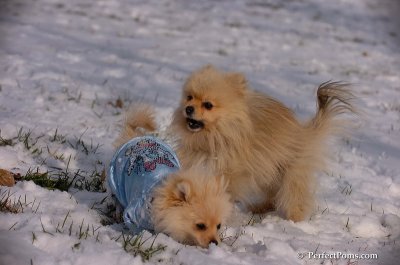 Dec4_07_634.JPG