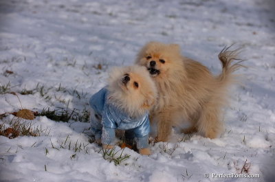 Dec4_07_635.JPG