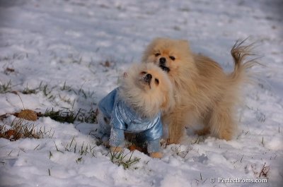 Dec4_07_637.JPG