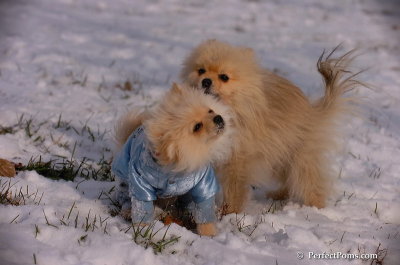 Dec4_07_638.JPG
