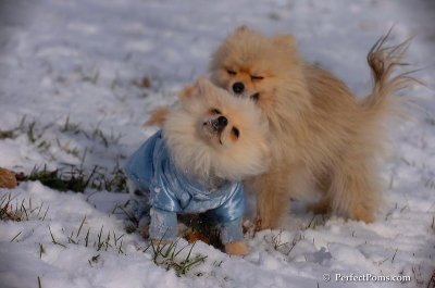Dec4_07_639.JPG