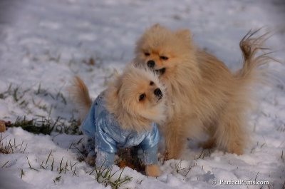Dec4_07_640.JPG