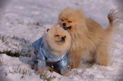 Dec4_07_642.JPG