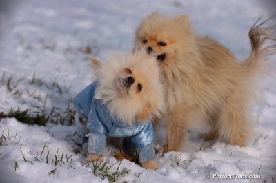 Dec4_07_643.JPG