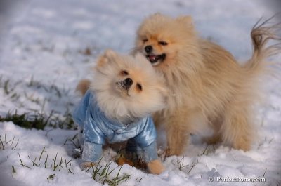 Dec4_07_644.JPG