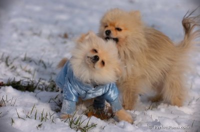 Dec4_07_645.JPG