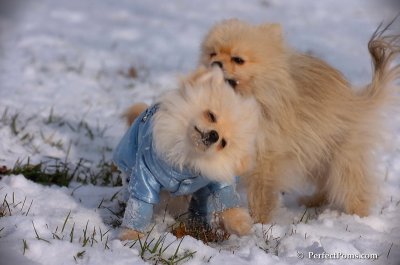 Dec4_07_646.JPG