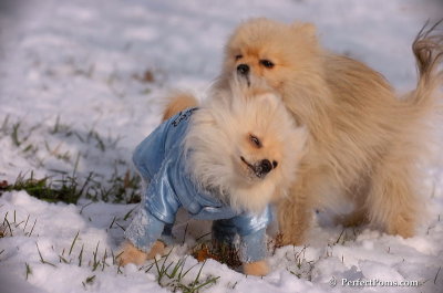 Dec4_07_647.JPG