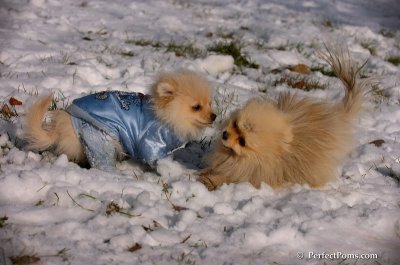 Dec4_07_648.JPG