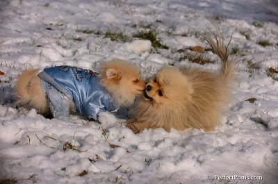 Dec4_07_650.JPG