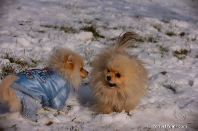 Dec4_07_651.JPG