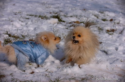 Dec4_07_653.JPG