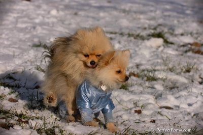 Dec4_07_654.JPG