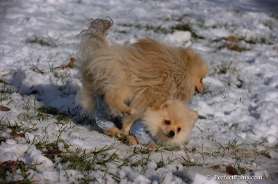 Dec4_07_655.JPG