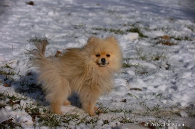 Dec4_07_657.JPG