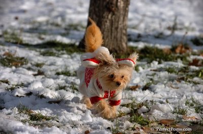 Dec4_07_658.JPG