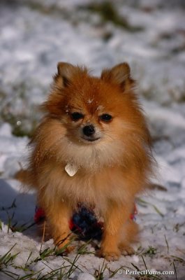 Dec4_07_663.JPG