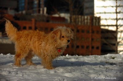 Dec4_07_665.JPG