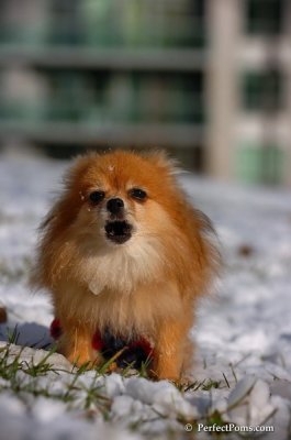 Dec4_07_667.JPG