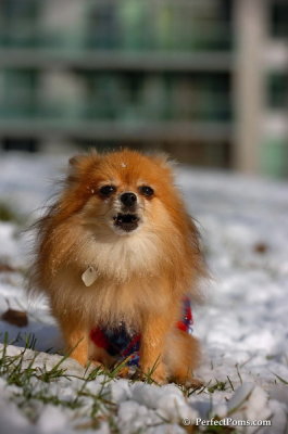 Dec4_07_670.JPG