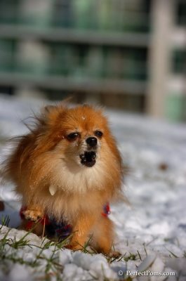 Dec4_07_674.JPG