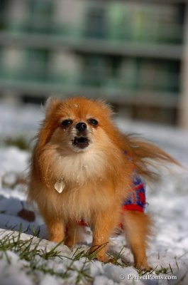 Dec4_07_675.JPG