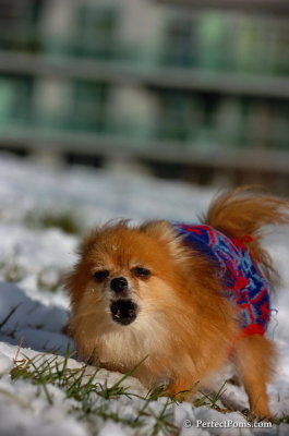 Dec4_07_678.JPG