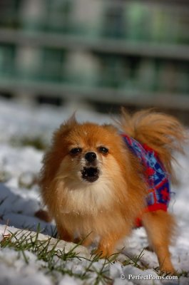 Dec4_07_681.JPG