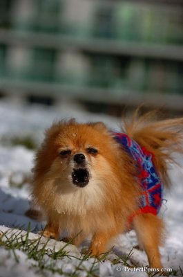 Dec4_07_683.JPG