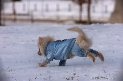 Dec4_07_684.JPG