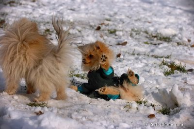 Dec4_07_685.JPG