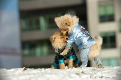 Dec4_07_299.JPG