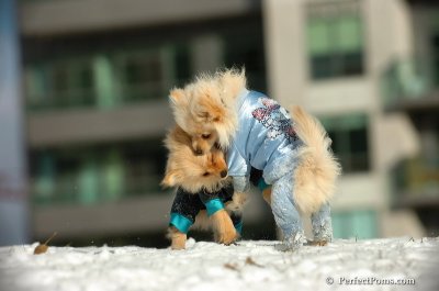 Dec4_07_301.JPG