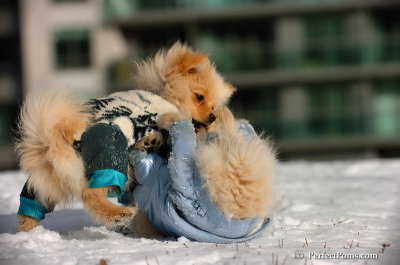 Dec4_07_305.JPG