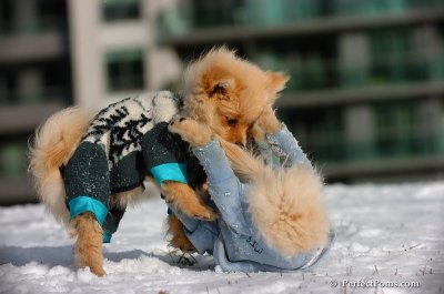 Dec4_07_307.JPG