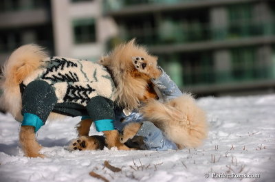 Dec4_07_308.JPG