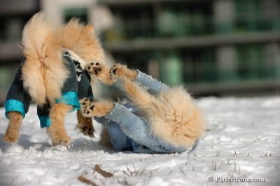 Dec4_07_313.JPG