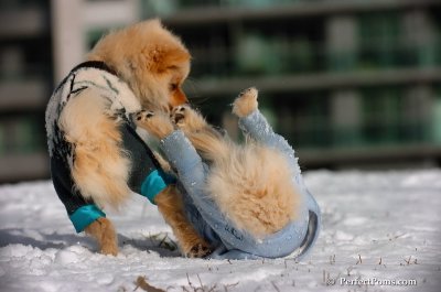 Dec4_07_316.JPG