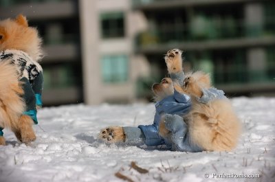Dec4_07_318.JPG