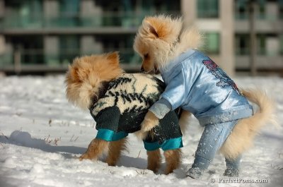 Dec4_07_320.JPG