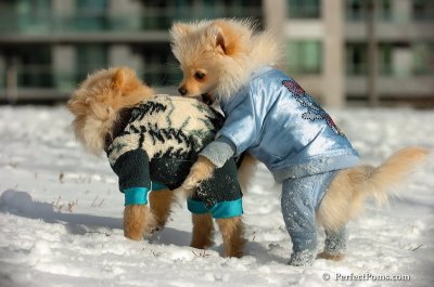 Dec4_07_321.JPG