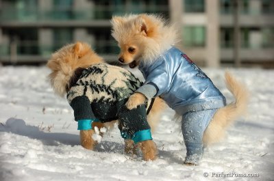 Dec4_07_322.JPG