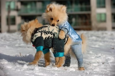 Dec4_07_324.JPG