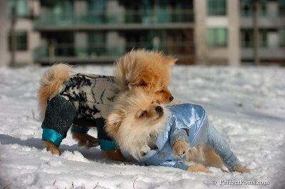 Dec4_07_331.JPG