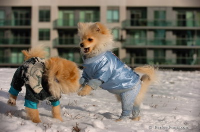 Dec4_07_333.JPG