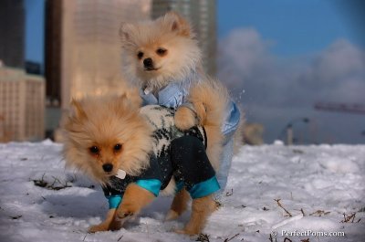 Dec4_07_336.JPG