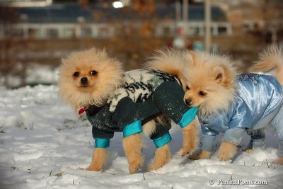 Dec4_07_340.jpg