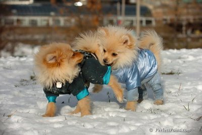 Dec4_07_342.jpg